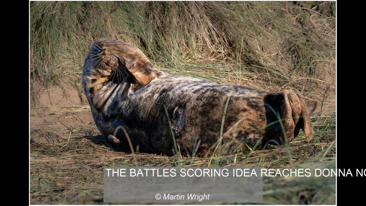 THE BATTLES SCORING IDEA REACHES DONNA NOOK